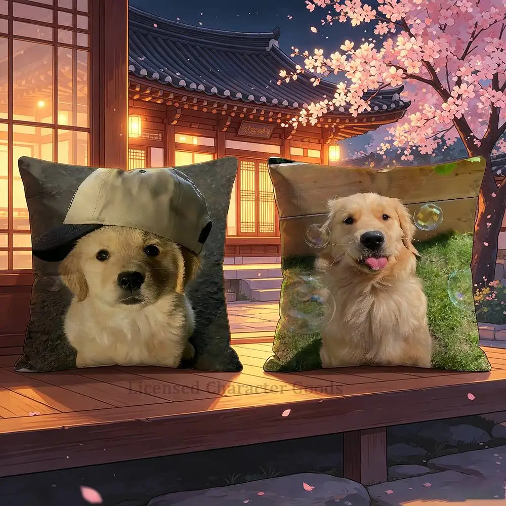 Golden Retriever Square Cushion Cover Weird Aesthetic Library Book Page Print Pillow Cover