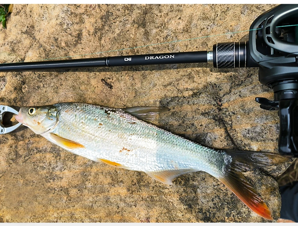TSURINOYA Long Casting Model Shore Fishing Rod DRAGON 2.28m 2.44m ML M Fast Action FUJI Guide Spinning Rod For Seabass Saltwater