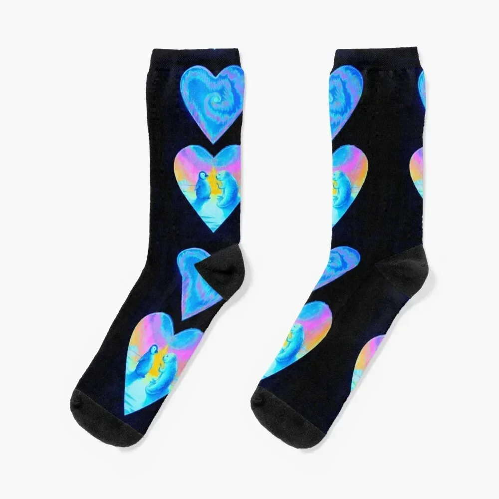 Seal of Friendship Socks hip hop funny gifts bright garter Soccer Socks Men's Women's