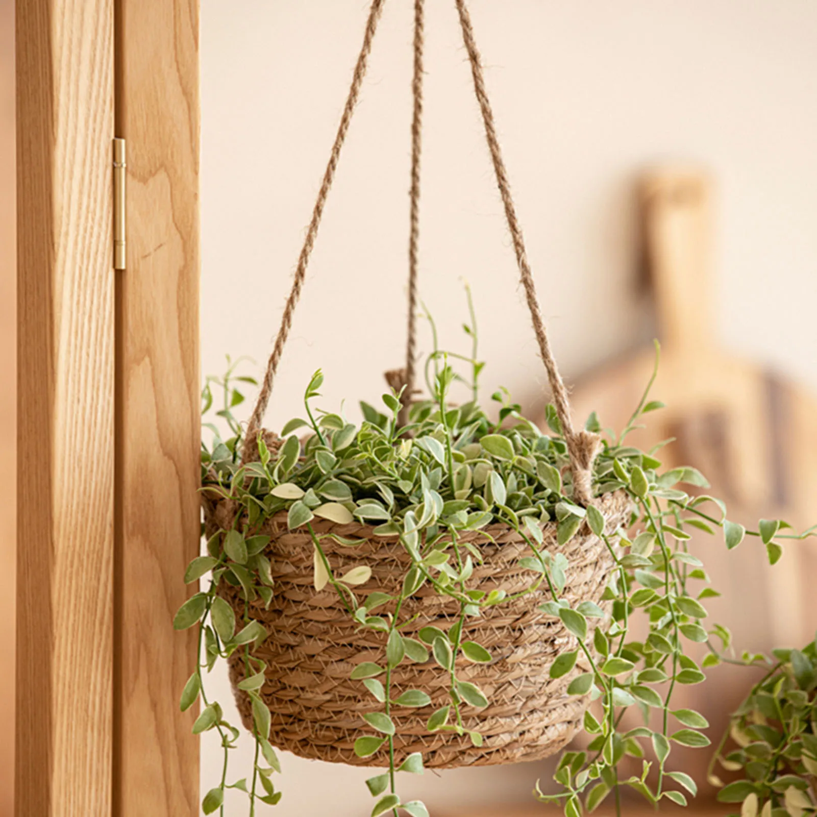 

Hanging Woven Planter Basket Large Capacity and Portable Basket Fine Craftsmanship Burr-free Basket