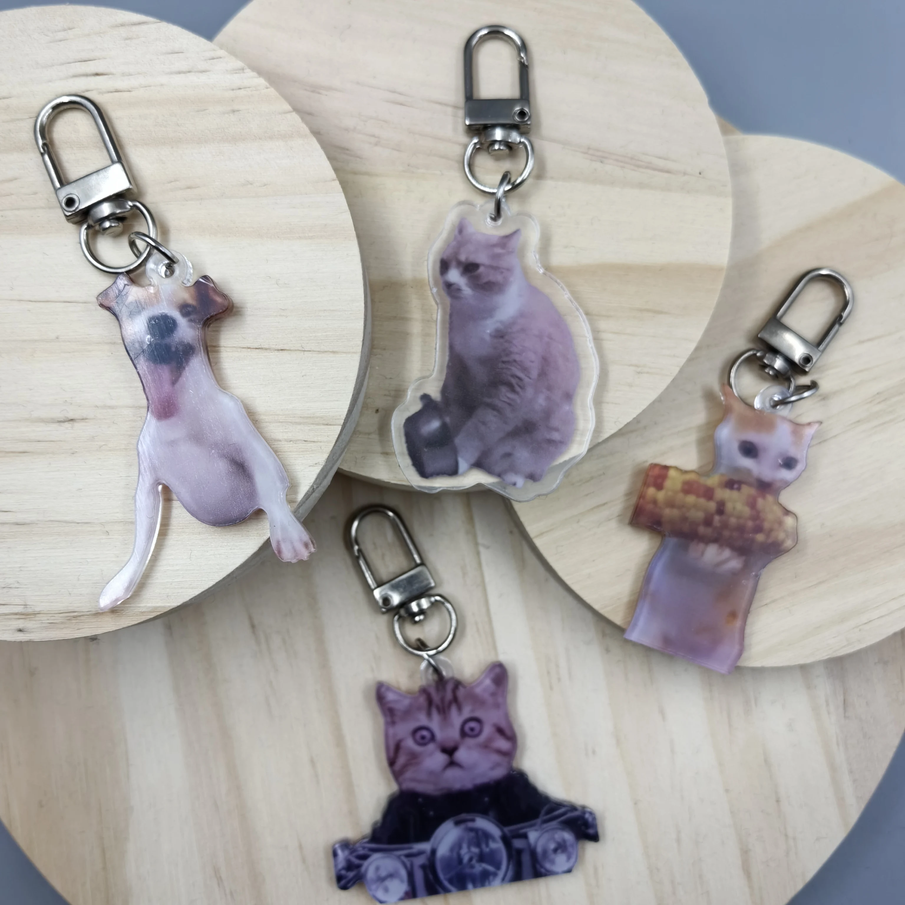 Cat Meme Acrylic Keychain, Gift For Friends, Cat Eating Corn, Cat On Motorcycle, Hungry Cat Begging Cat, Laughing Dog Keychain