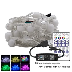 5V WS2812B LED strip light stirng RGB Dream Full Color Round Ball String USB 28Key APP control music Lights Christmas Party