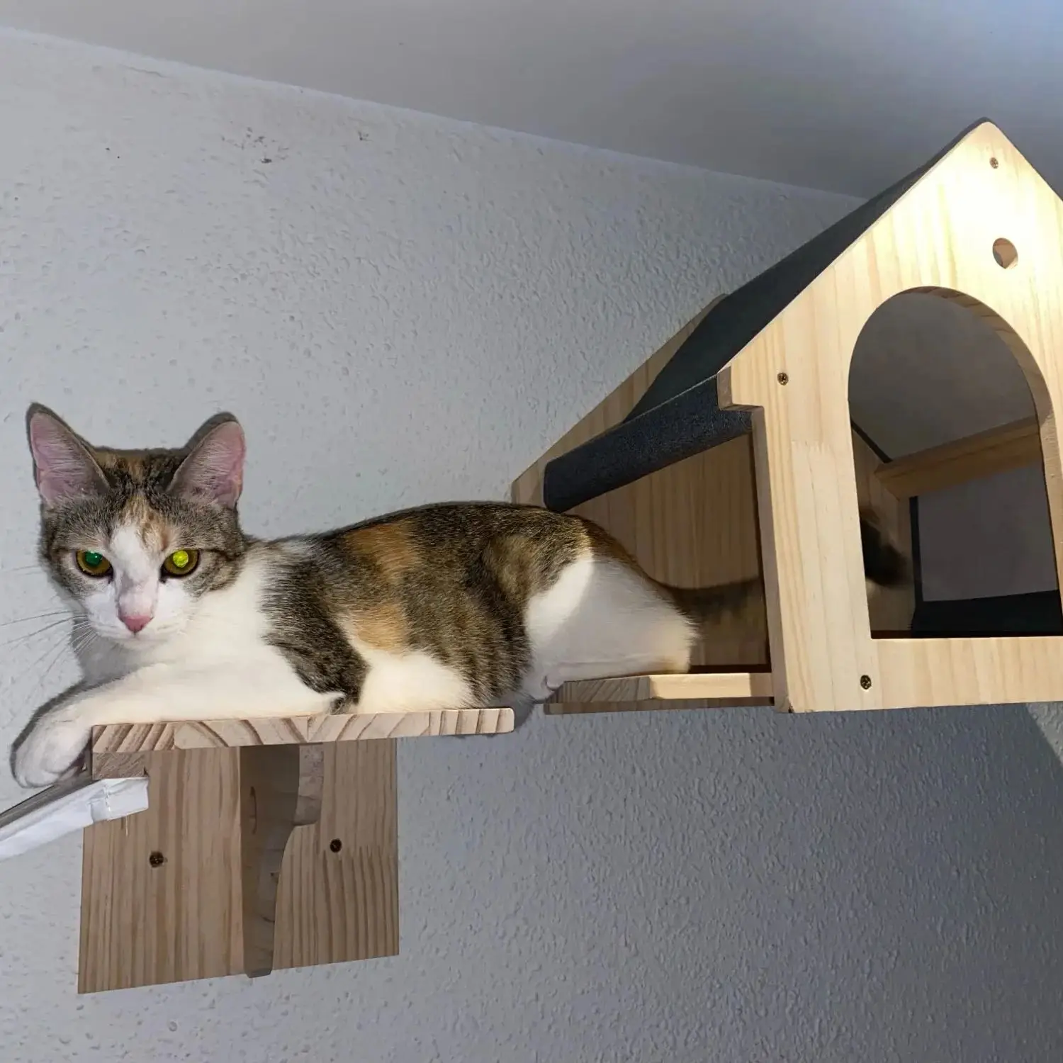 Cat Mounted Climbing Wall with Cat Hammock and Cat Climbing Ladder Cat House Cat Shelf Sisal nest for Kitten Playing and Rest