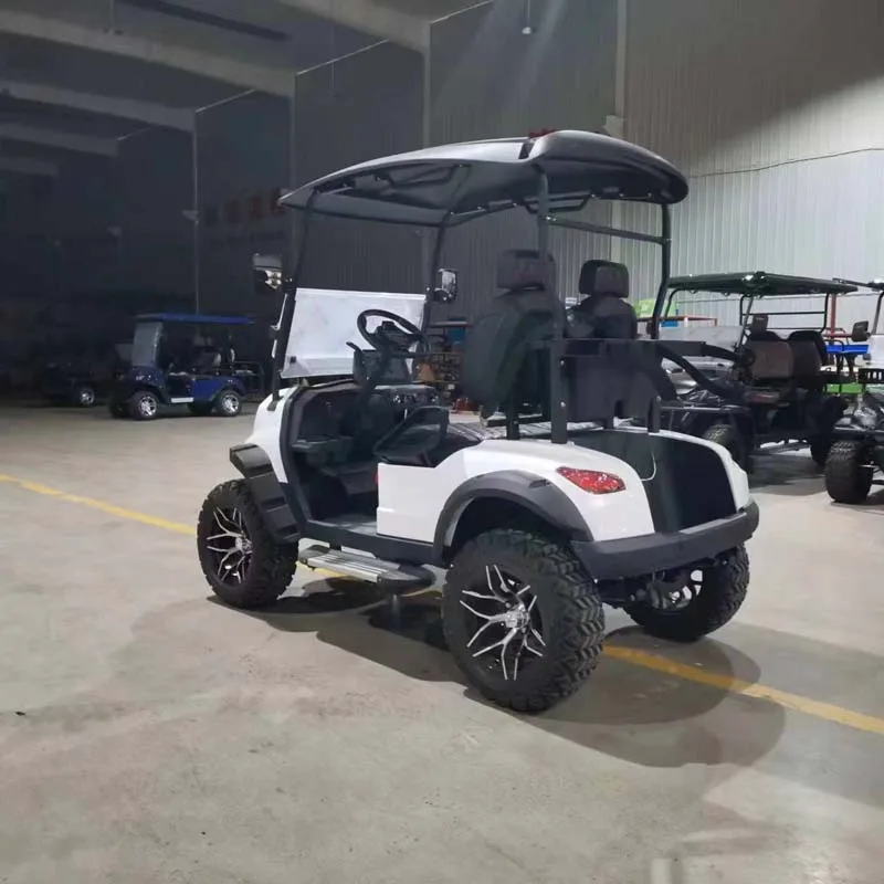 رائجة البيع 48 فولت 72 فولت بطارية ليثيوم سيارة عربات التي تجرها الدواب 4 6 مقاعد Carrito دي عربة جولف كهربائية #3