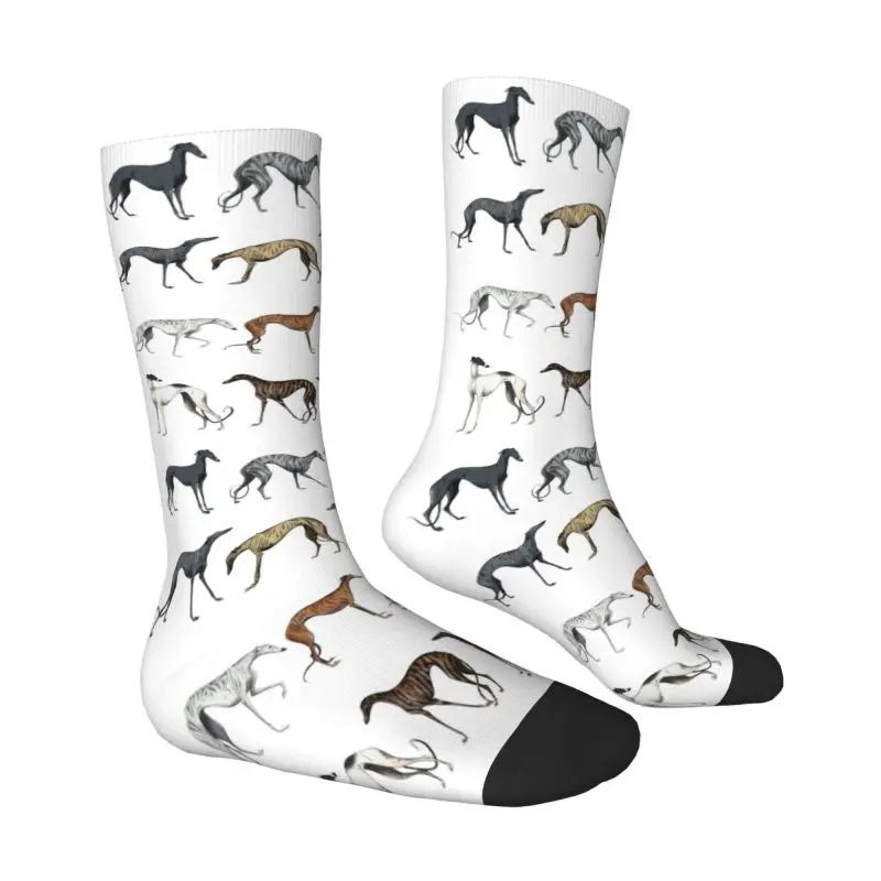 Cute Whippet Sighthound Dog Men's Crew Socks Unisex Fun 3D Printed Greyhound Hound Dress Socks