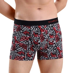 print male underpants Boxers man underwear sexy Men's panties cotton boxer shorts men square trunk calecon