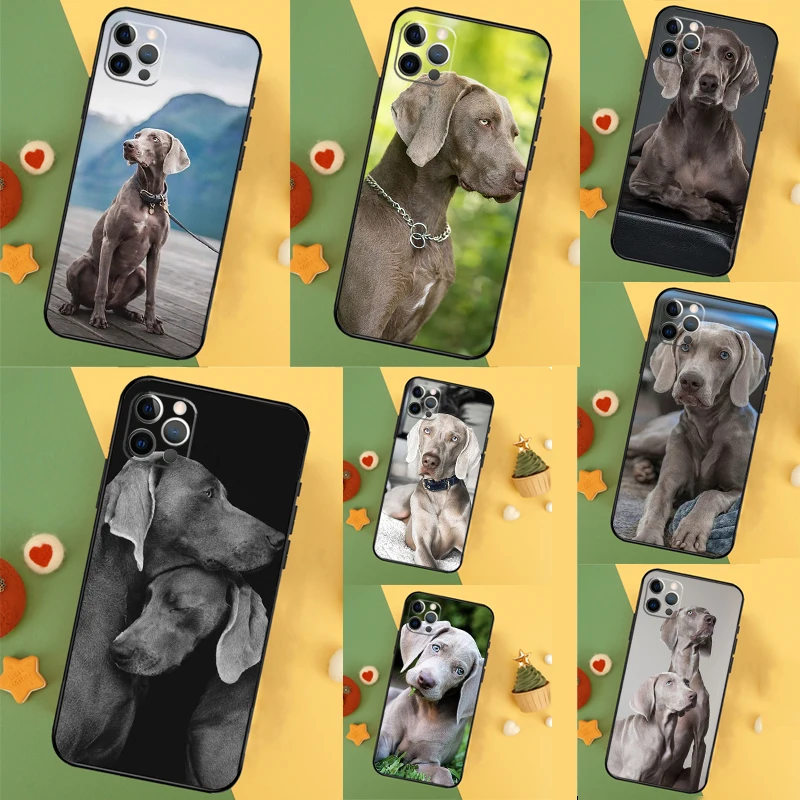 Weimaraner Dog For … - image