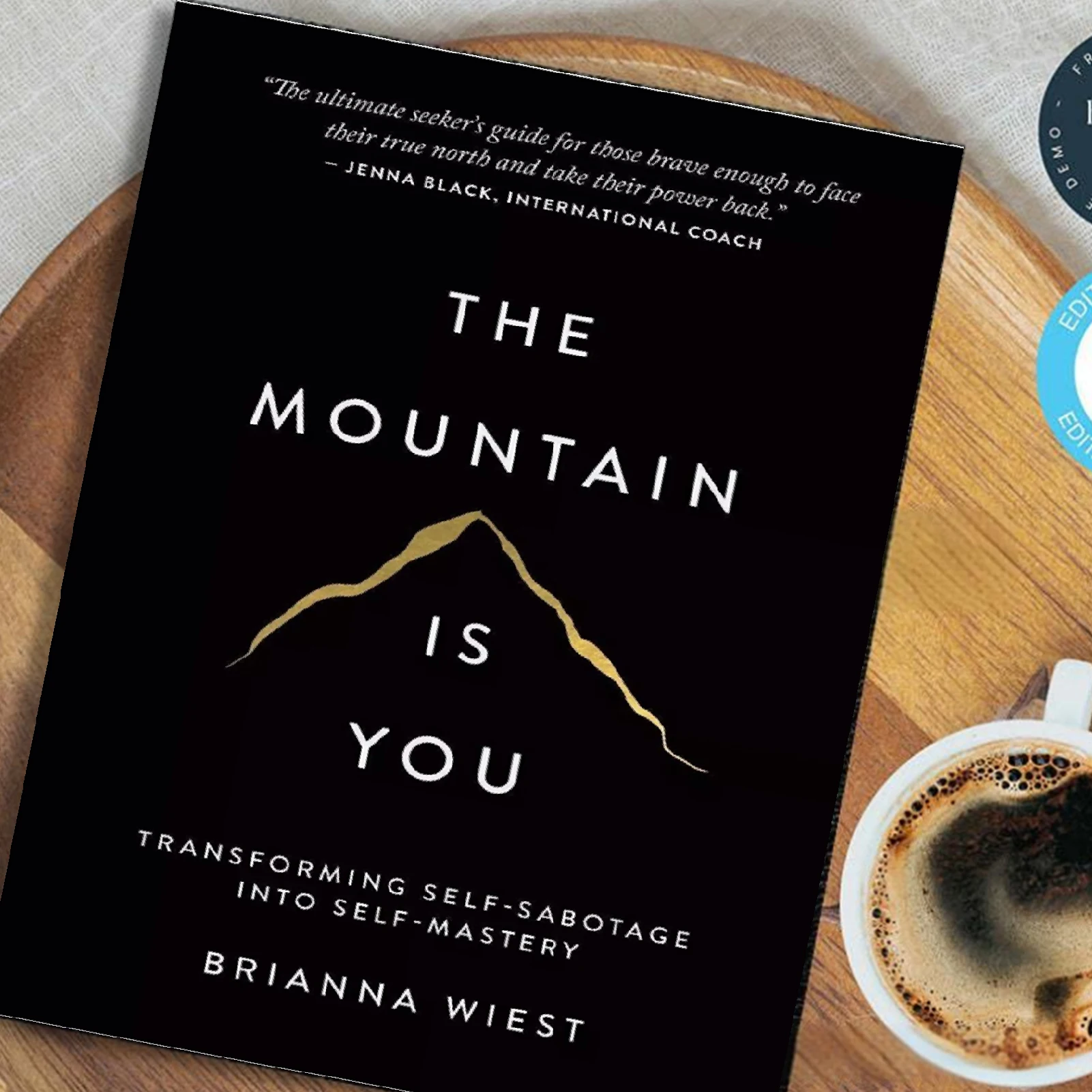 The Mountain Is You : Transforming Self-sabotage Into Self-mastery English Version Home Extracurricular Reading