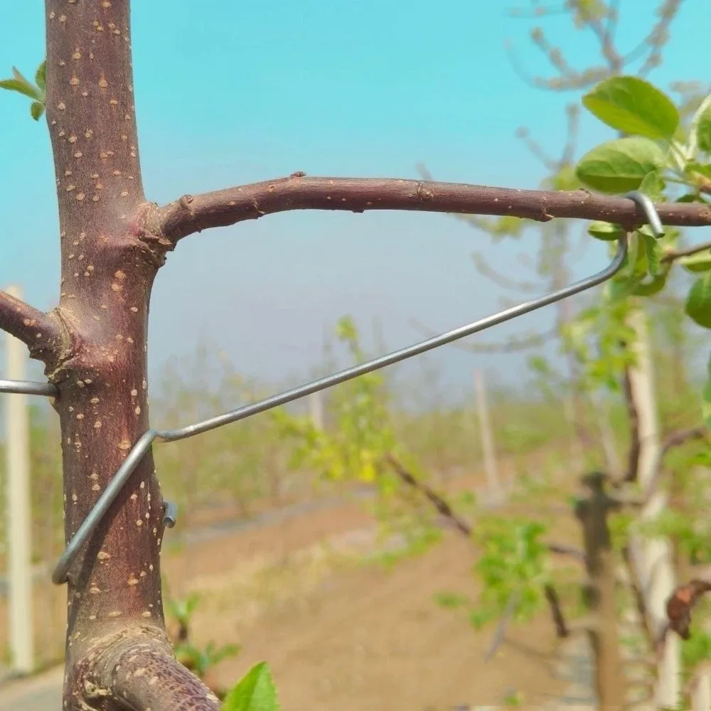 

10Pcs Anti-Slip Metal Limb Spreaders High-Strength Strong Fruit Tree Branch Puller Heavy-Duty Plant Support Tool