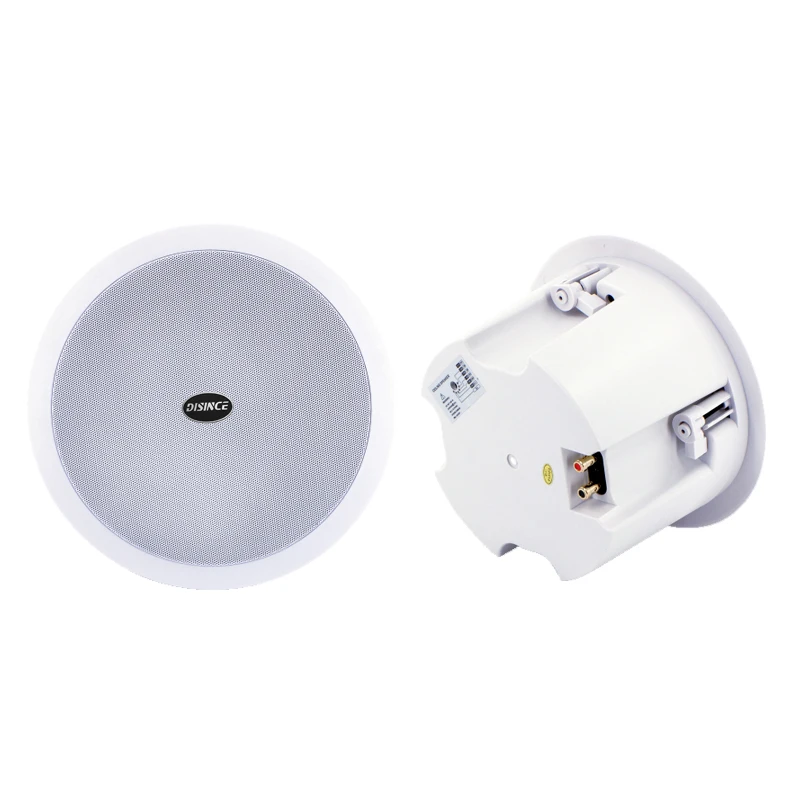 Рисунок 6 - Сетевой потолочный динамик IP POE