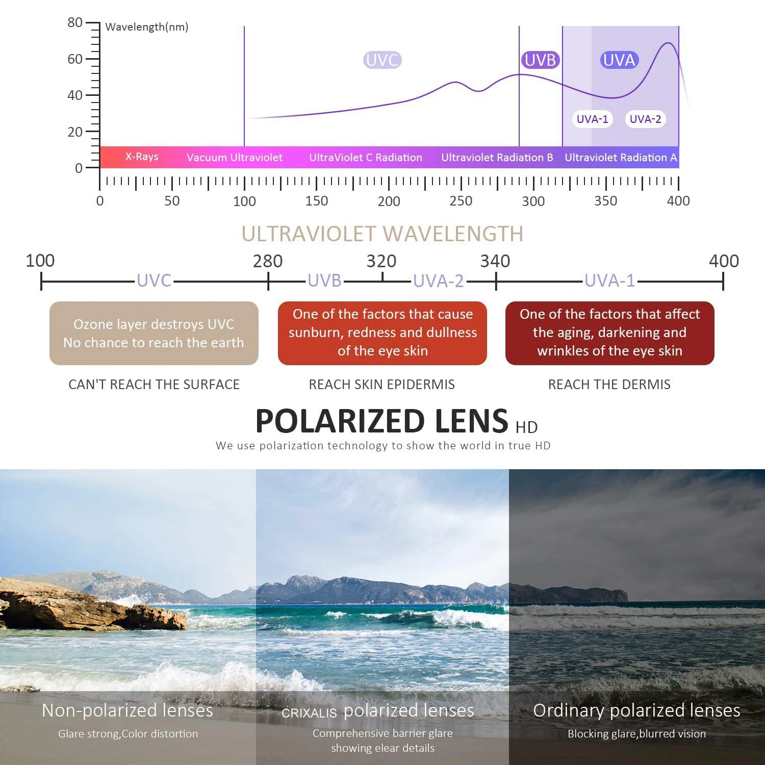 CRIXLAIS Mode Photochrome Polarisierte Sonnenbrille Männer Frauen Übergroße Sonnenbrille Männliche Nachtsicht Schutzbrillen UV400 – Detail 2