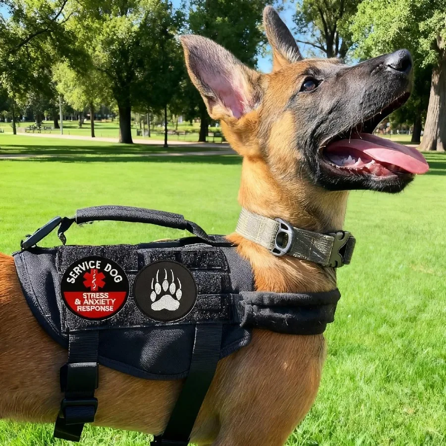 Service Dog Patch and Tag Id Tag Easily Attach to Collar Harness Vest Large 1.50 x 5.12 ih