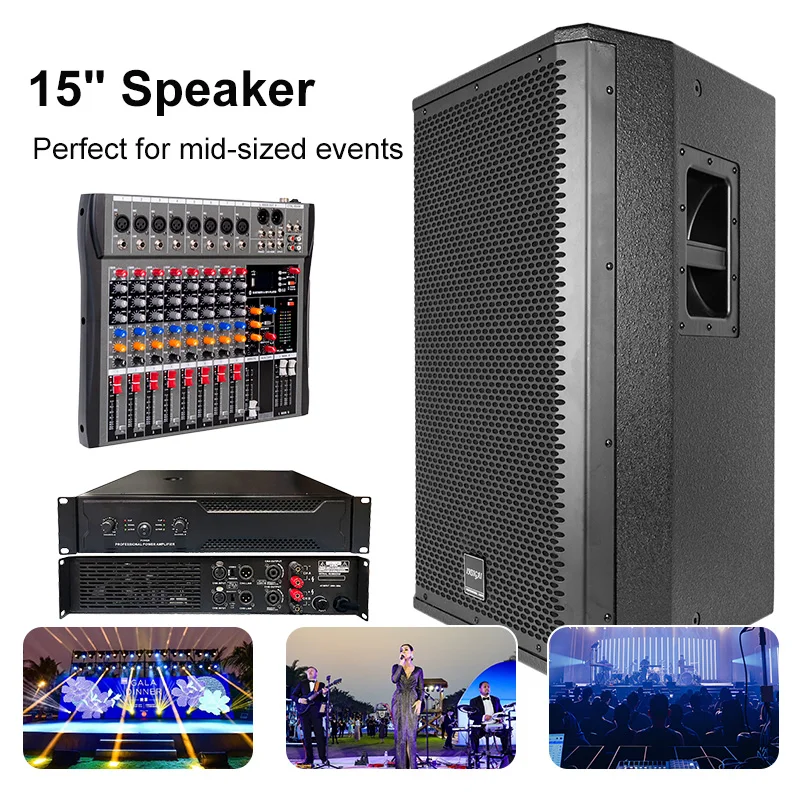 Professional 15 Inch DJ Stage Performance Subwoofer 450W Power Mid-sized Event Party Concert Bass Line Output Portable