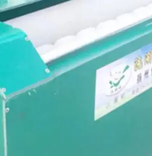 NEW 220V 110V 550W Egg Cleaning Machine for Chicken Duck Goose Quail - Egg Washing Machine Dqx1500f
