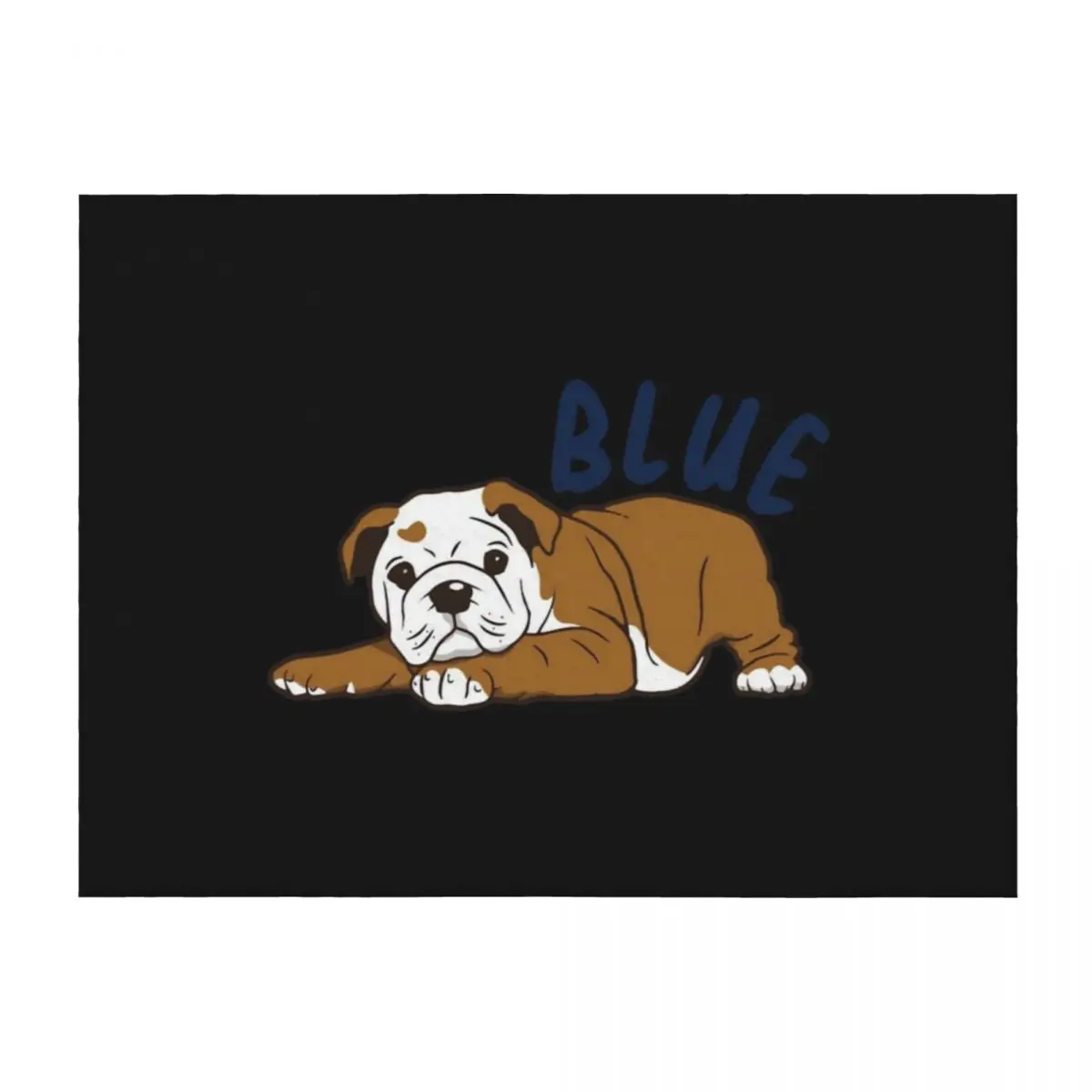 

Butler Blue 4 Throw Blanket Large Cute Designers Plush Blankets