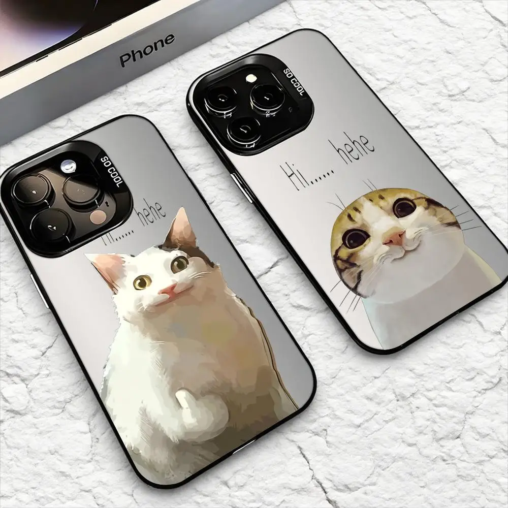 Pet Cat Funny Memes…