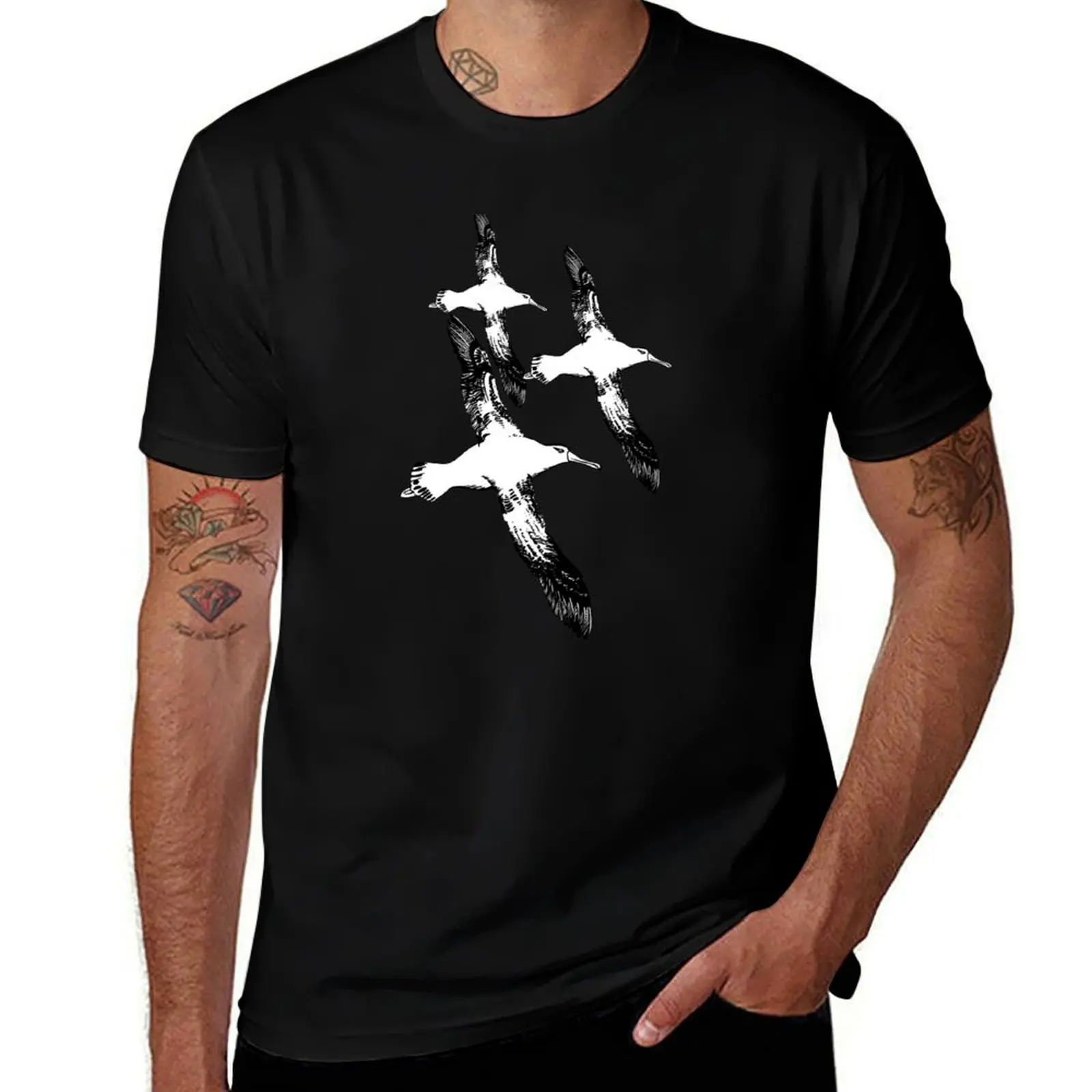 A Trio of Wandering Albatross T-Shirt Gym Wear Breathable Short Sleeve Tee T-Shirt