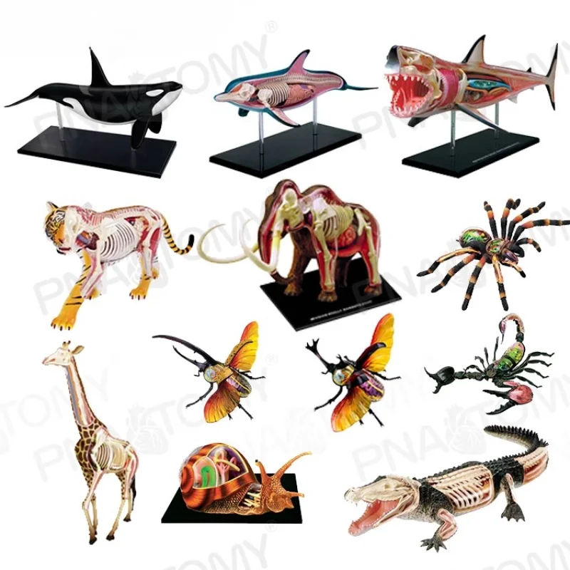

Animal Anatomy Puzzle Model Whale Dolphin Tiger Giraffe Shark Scorpion Crocodile