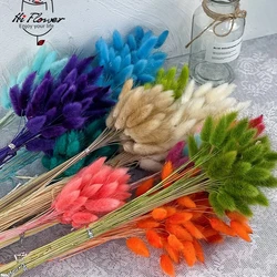 100PCS Natural Bunny Rabbit Tails Grass Dried Flowers Boho Home Decor Table Accessories Colorful Mix Lagurus Wedding Decoration