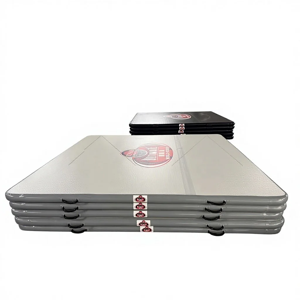 

Customized Drop Stitch Foldable Portable Training Anti-Slip Gymnastics Air Track Inflatable Wrestling Floor Mats