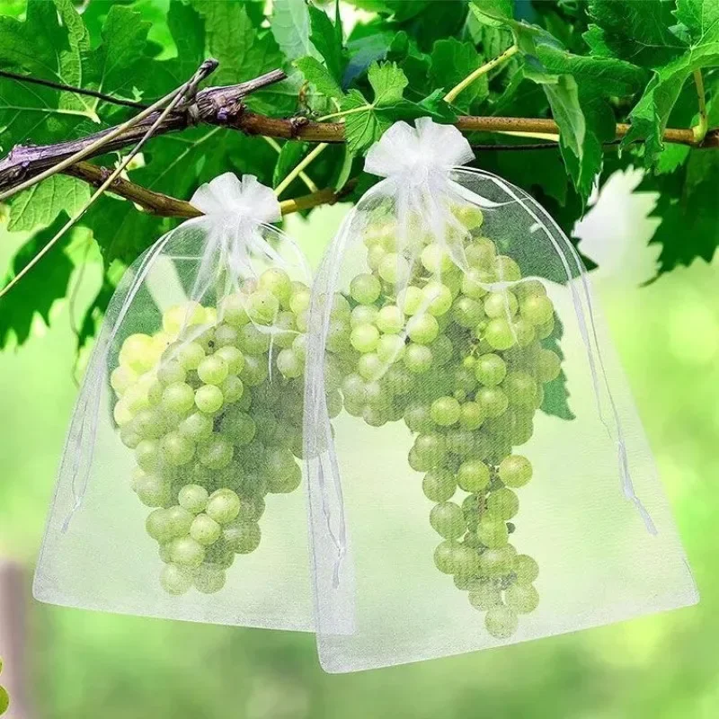 200wiederverwendbare Obstschutznetze mit Kordel grün Schädlingsschutz für Bäume Gemüse Trauben Erdbeeren ideal zum Schutz von Pflanzen langlebig atmungsaktiv einfach zu verwenden praktische Zubehörteile für Garten und – Detail 13
