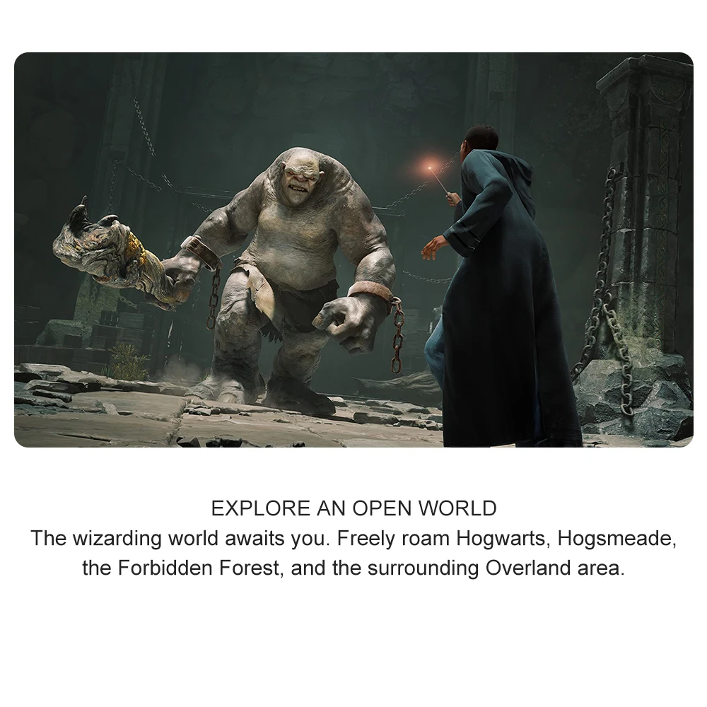 Hogwarts Legacy nintendo switch игры, 100% официальные оригинальные игровые карты в стиле Хогвартс Legacy Nintendo Switch для игровой консоли Nintendo Switch
