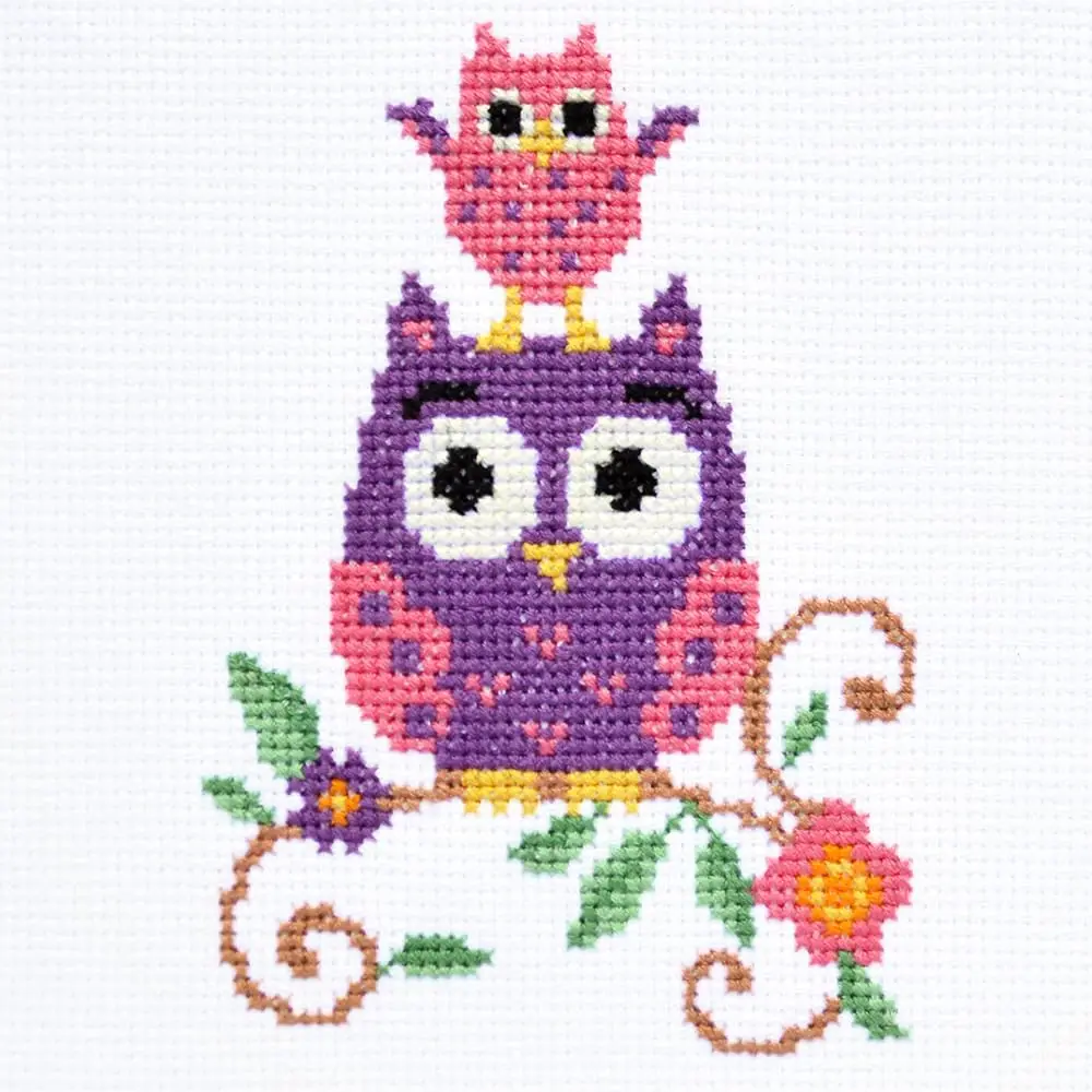 

Funny owl - Counted Cross Stitch kit - DIY Set for Hand Embroydery with Paper Pattern, 14 Count Blank Aida Canvas and Pre-So
