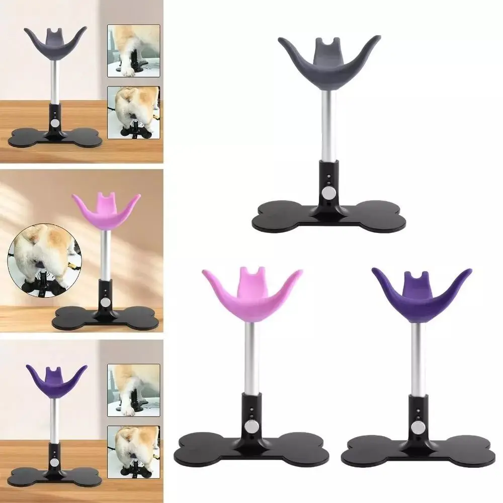 Adjustable Dog Grooming Stand Fixed Dog Seat Pet Grooming Articles Hair Cutting Stool Environmentally Friendly Soft