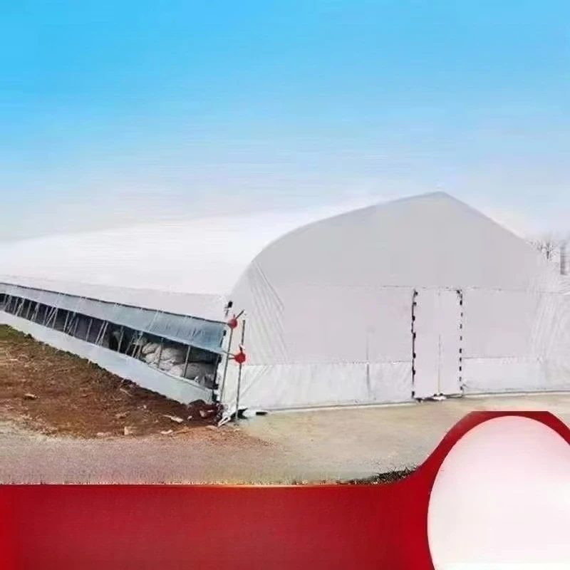 الدفيئة الزراعية ذات الأنبوب الدائري لزراعة هيكل الدفيئة المتين ومتعدد الاستخدامات #4