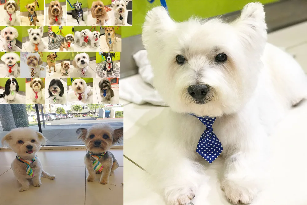 50PCS Pet Dog Bow Ties Mix 40 Colors Handmade Adjustable Pet Dog Ties Pet Bow Ties Cat Neckties Dog Grooming Supplies