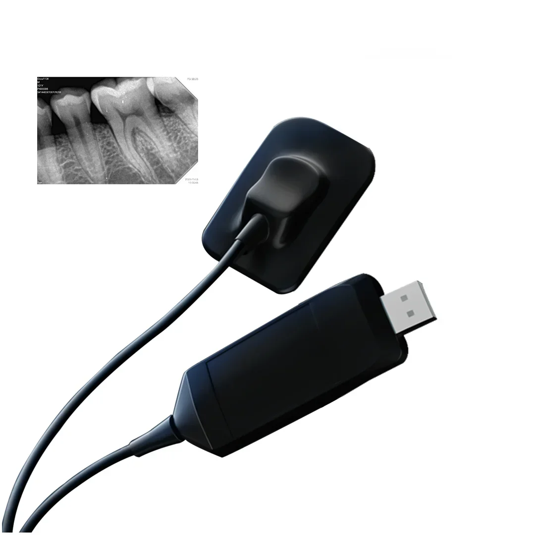 

Lk-C67+ Ez Quality CMOS Portable Digital X Ray Intraloral RVG Sensor Imaging System Detector Model R2 Price