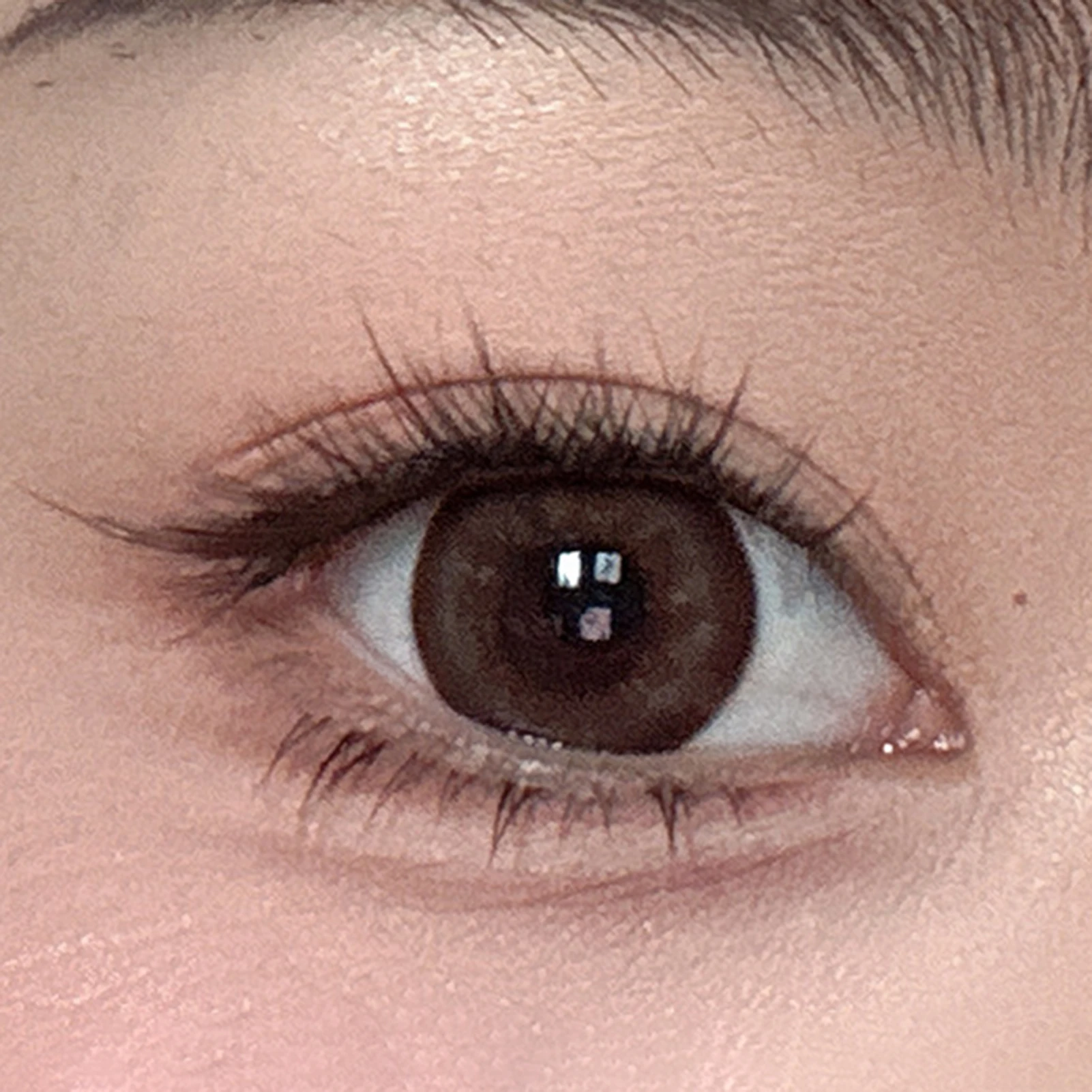 Black Tea Brown False Eyelashes Extension Soft Curly Realistic Natural Charming Cosplay Lashes for Women Girls Daily Party Use