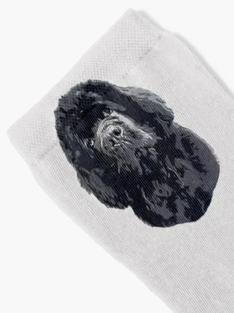 Newfoundland Cute Head Tilt Socks set funny gifts floor Lots Male Socks Women's