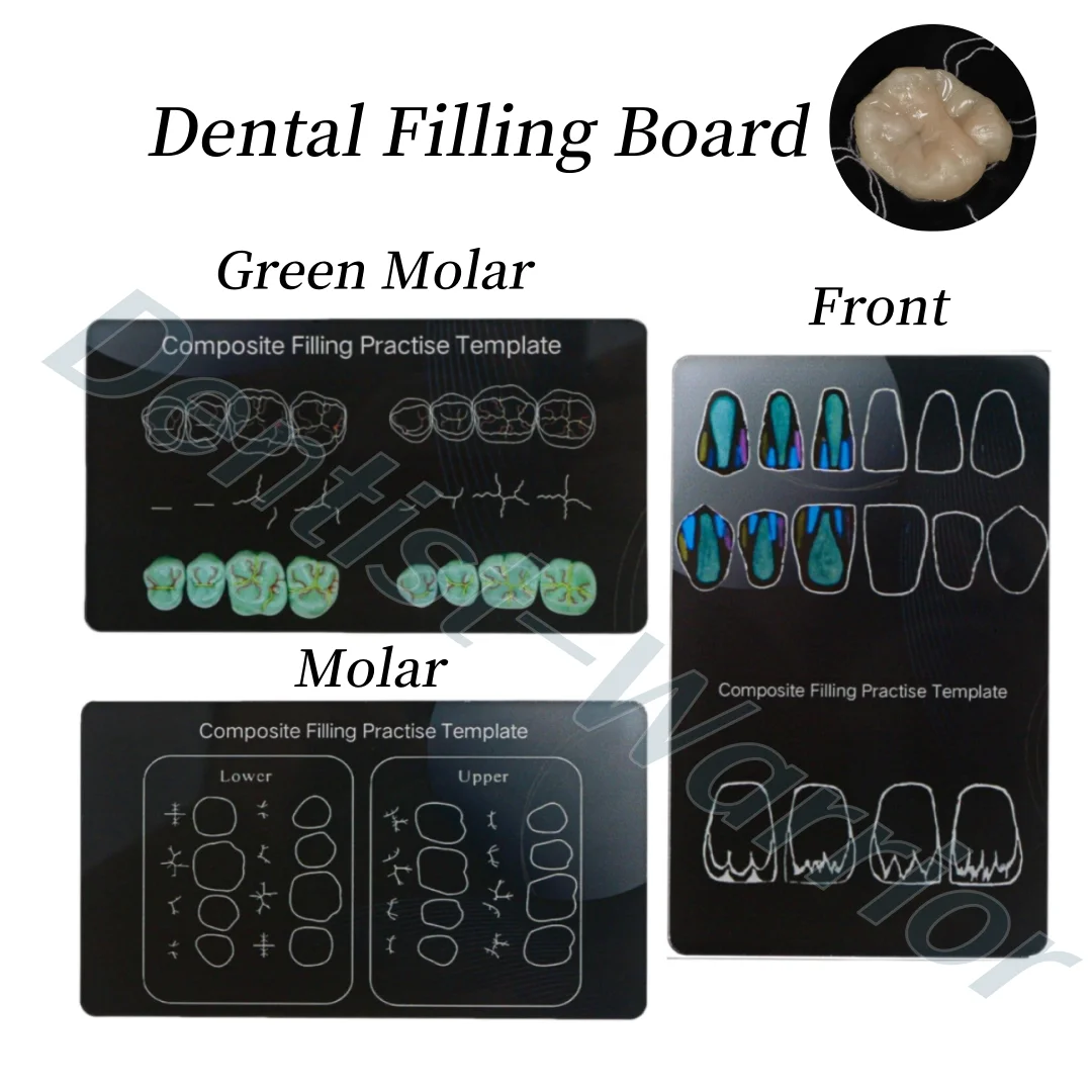 Dental Composite Resin Filling Practise Template Teeth Morphology Board Anatomical Model Study Board