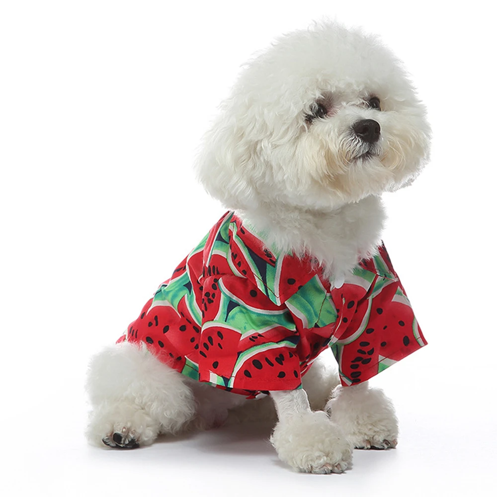 Camisas con estampado de frutas para perros pequeños, ropa para mascotas, camiseta para perros, abrigo fino, chaqueta para cachorros y gatos, trajes