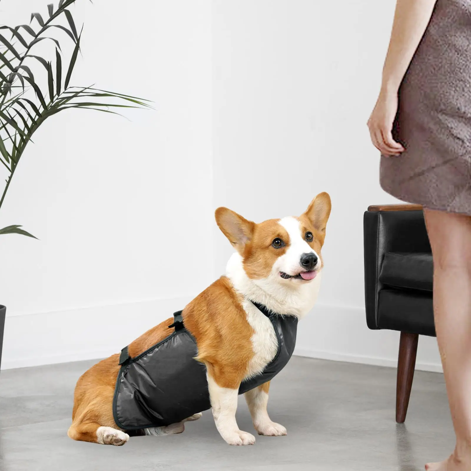 Dog Belly Belly Wrap Dog Belly Apron Accessories Pet Clothes Dog Belly