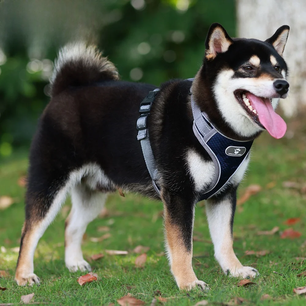 Dog Chest Harn Lea …