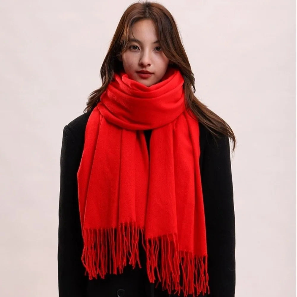

Elegant Tassel Imitation Cashmere Scarf Thickened Korean Style Long Wool Scarf Solid Color Warm Women Shawl Student