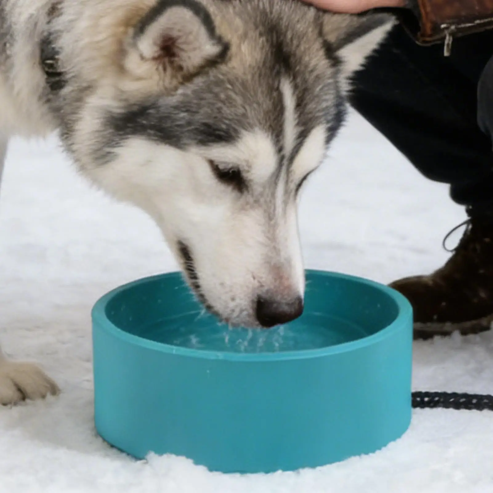 

Миска для воды для собак 3,2 л, большая емкость, с подогревом, для кошек, для маленьких, средних и крупных щенков, для цыплят