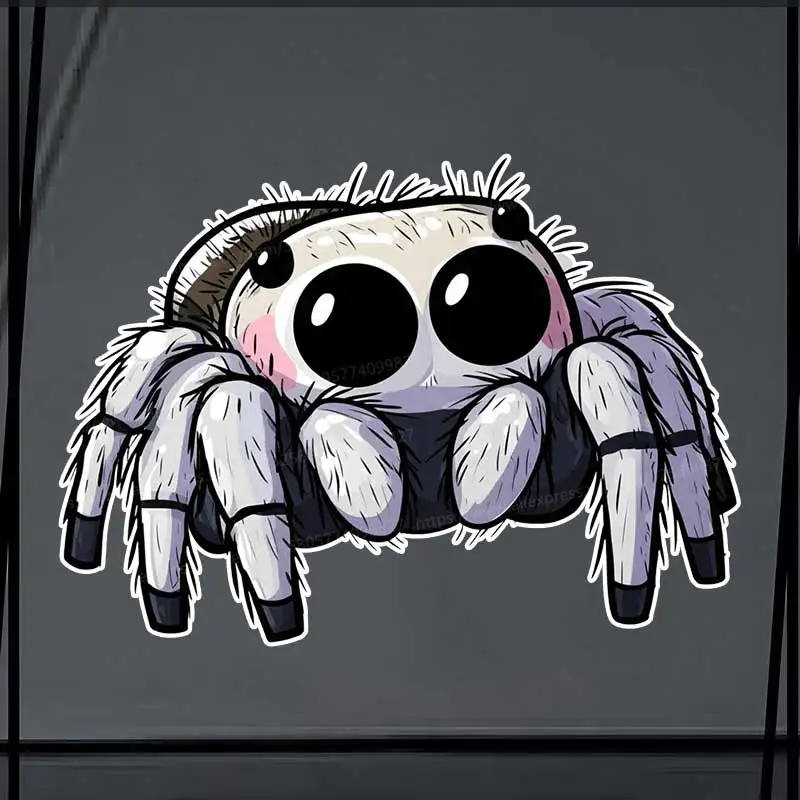 Cute Spider Car Sticker Vinyl Decal Waterproof Rear Window Motorcycle Camper Bumper Truck Laptop Decoration SH1627 5