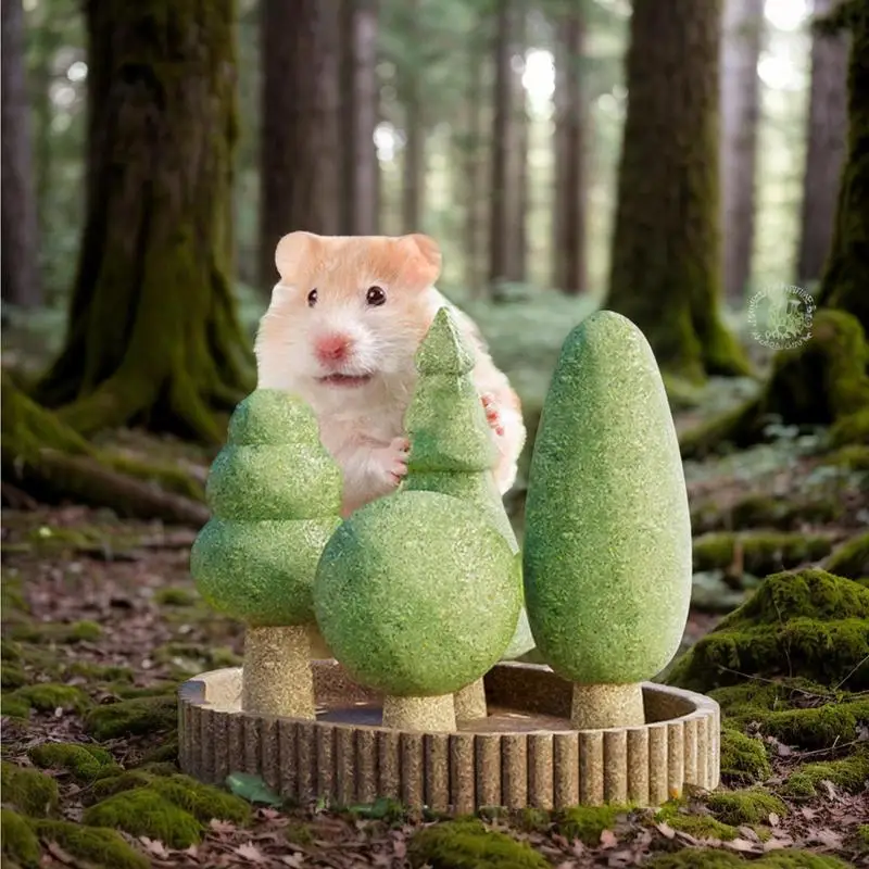 Thumbnail 3 - #17 Compare Small Animal Habitats & Cages Before You Buy