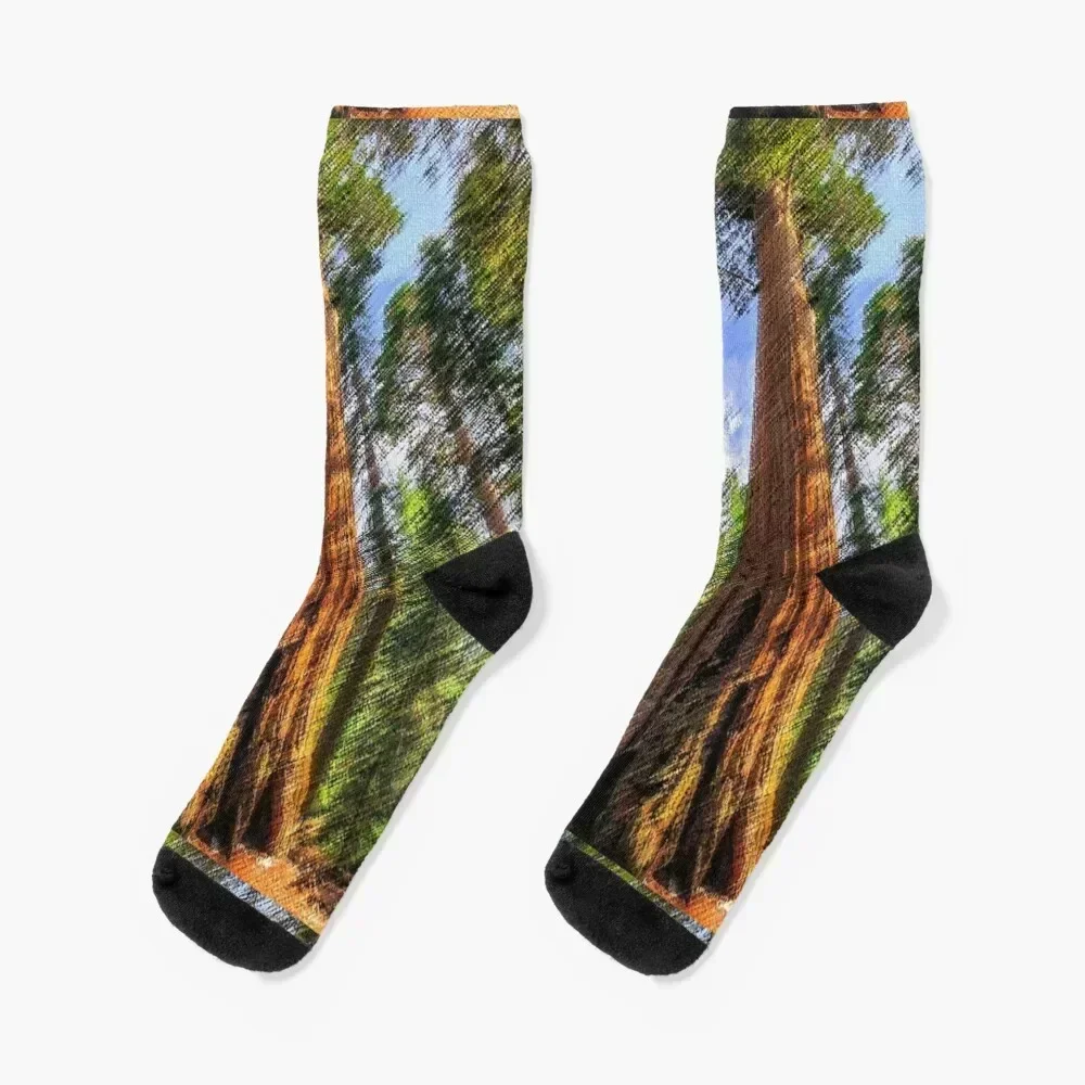 

Towering Redwood Tree Landscape Painting by Jeanpaul Ferro Socks custom essential Soccer Socks For Man Women's