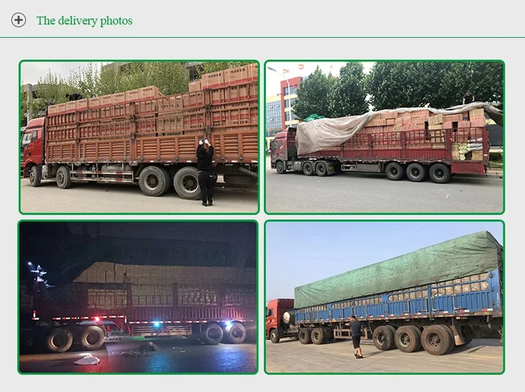 Corn Maize Precision Planter Seeder Maize Sowing Machine vegetable seed sales precision seeder machine