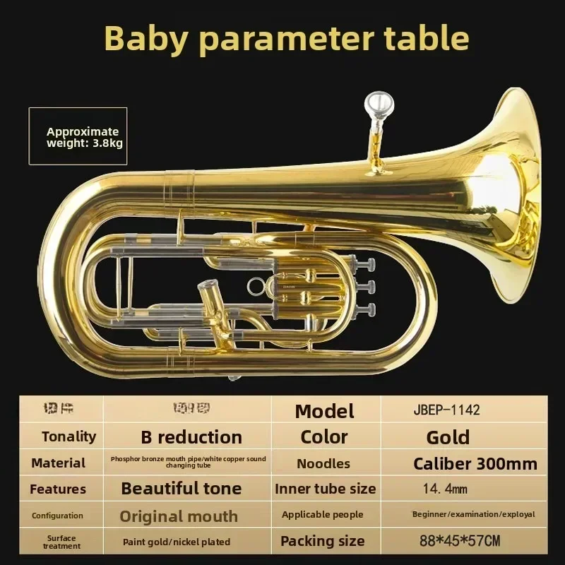 Four keys, bass brass, small horn, B flat, musical instrument, vertical key three plus one key bag