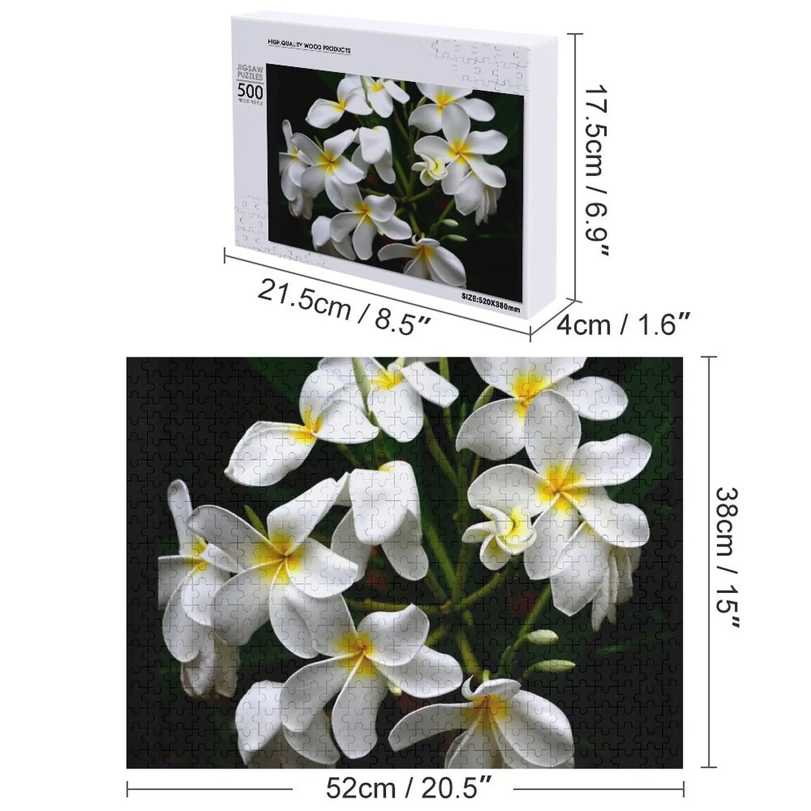 جزيرة هاواي الاستوائية زهور بلوميريا الفن صور بازل قطع خشبية للبالغين طفل اللعب لغز