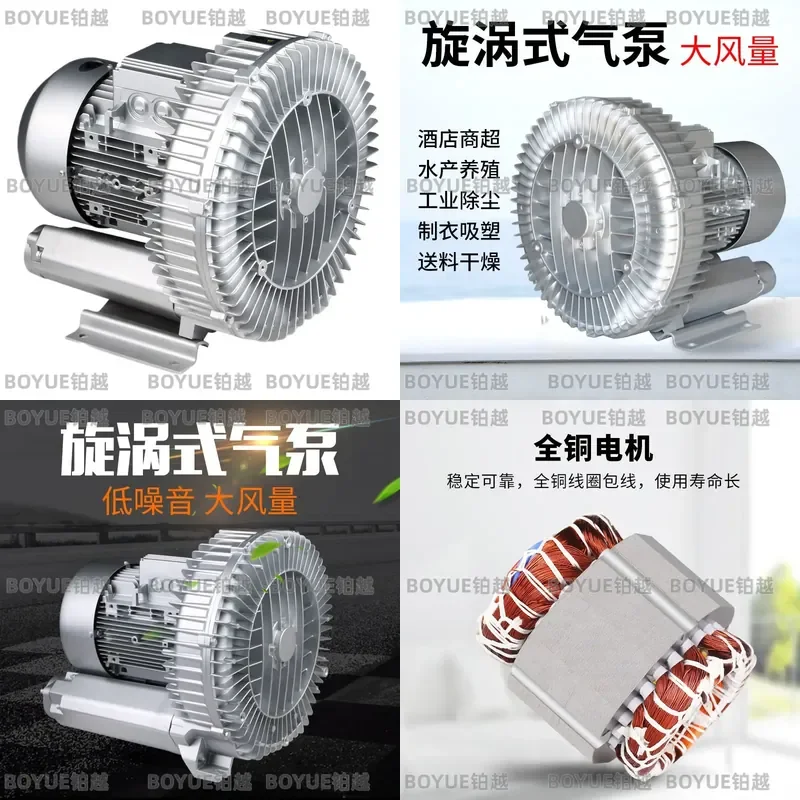 Industrial Air Pump Blower Single Phase Three Phase Vacuum Fan Aerator for Industrial Use High Pressure Air Compressor