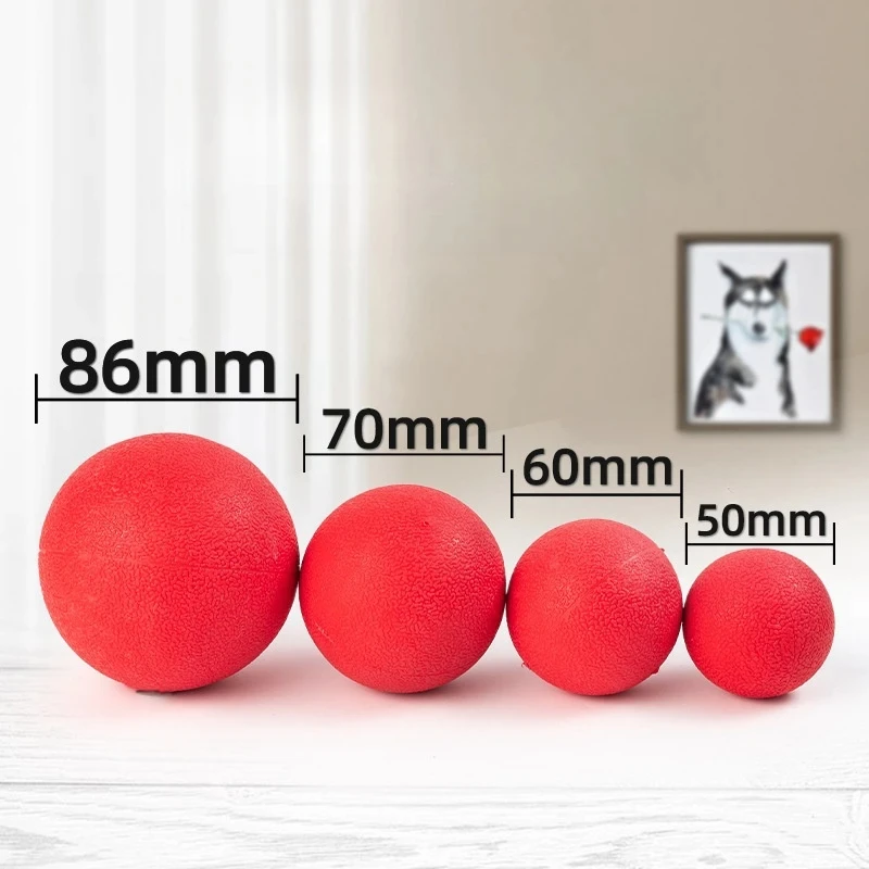 Hard Solid Rubber Balls for Dog Bite Resistant and Indestructible Dog Training Ball Pet Chew Play Fetch Bite Toy TPR Bouncy Ball