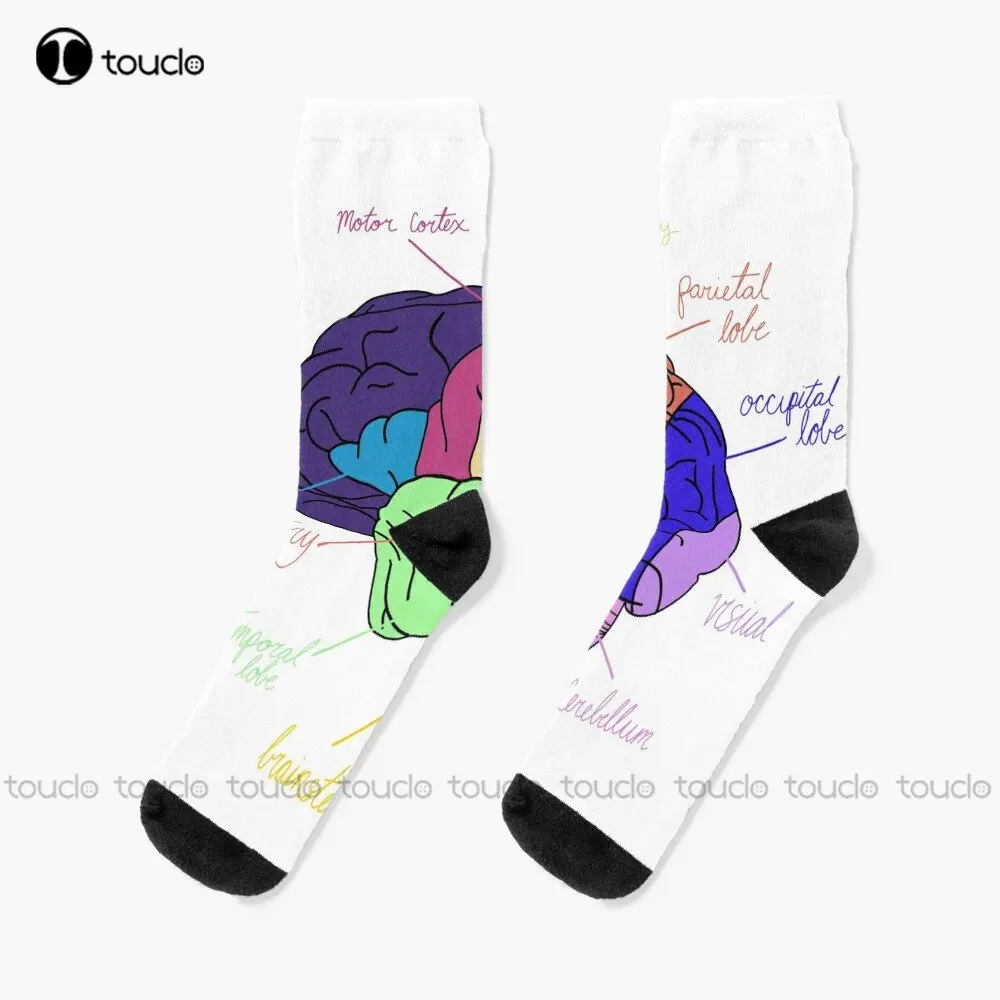 Brain Parital, Neuro, Neuroscience Socks Thin Socks Men Personalized Custom Unisex Adult Teen Youth Socks Custom Gift Streetwear