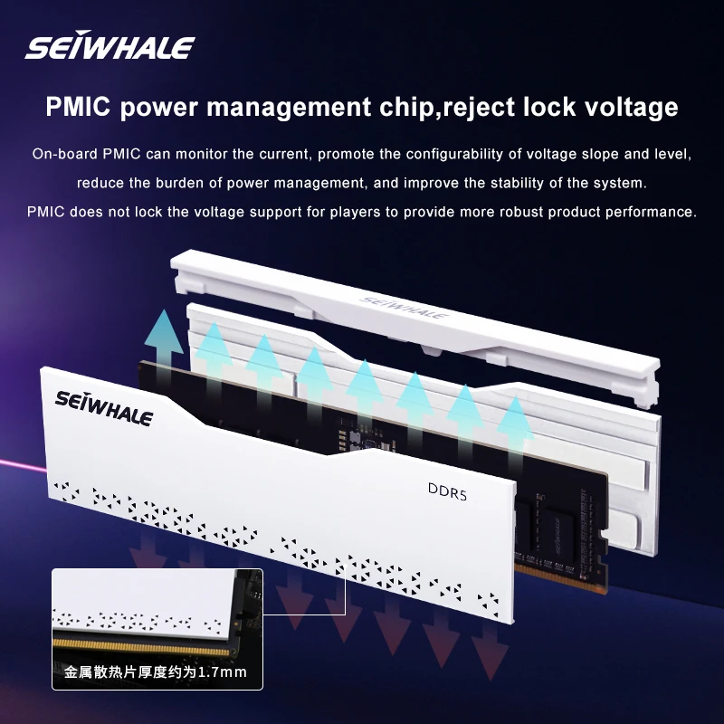 SEIWHALE DDR5 RAM 16GB 6000MHz CL38 Desktop-Arbeitsspeicher