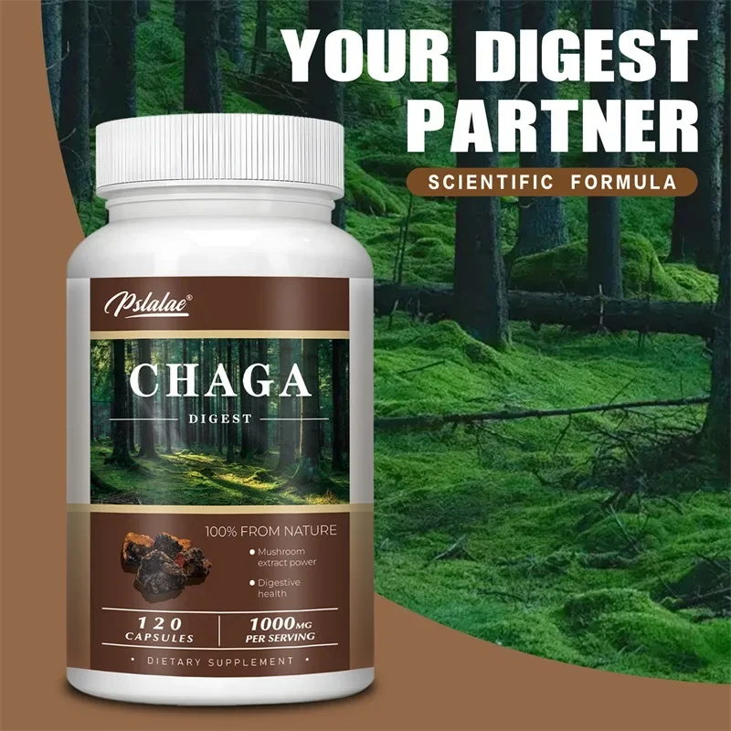 Chaga-capsules - voor de spijsvertering, gezondheid, energie en immuunondersteuning - niet-GMO